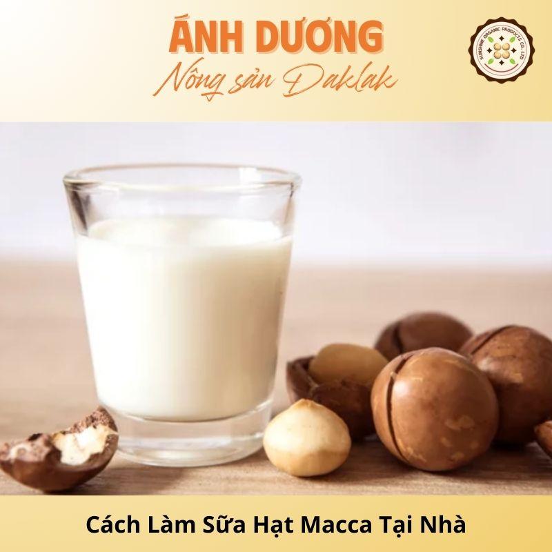 Cách Làm Sữa Hạt Macca Thơm Ngon Tại Nhà