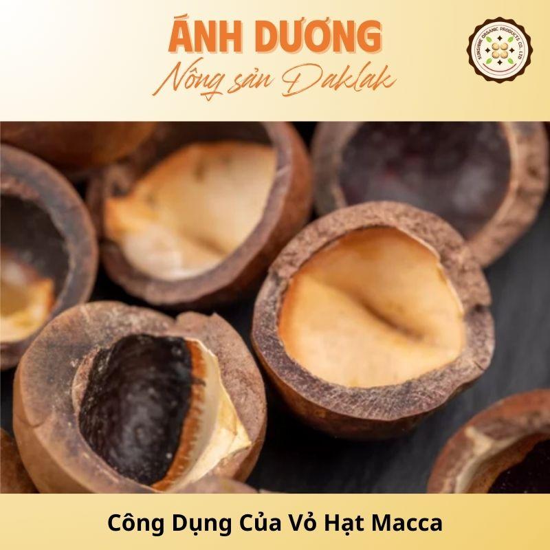 Khám Phá Công Dụng Của Vỏ Hạt Macca