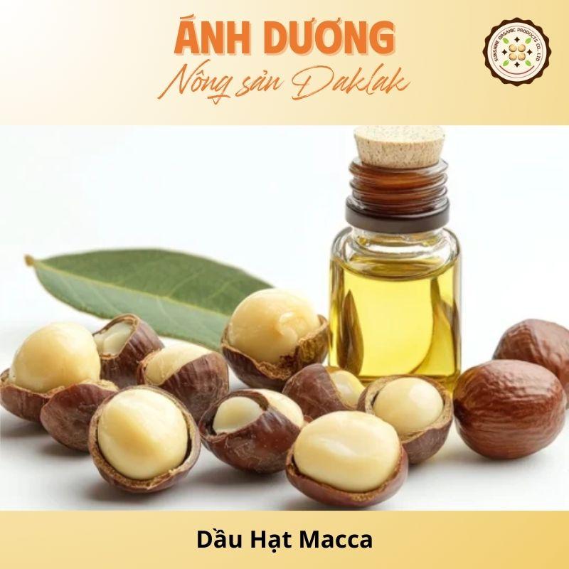 Macadamia Nut Oil: Golden Ingredients You Should Know!