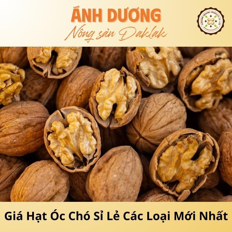 [Update] Latest Wholesale and Retail Prices of Walnuts of All Kinds 2024