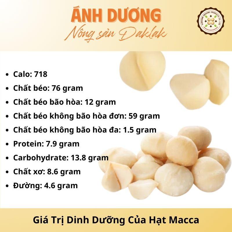 Giá Trị Dinh Dưỡng Của Hạt Macca Bạn Nên Biết