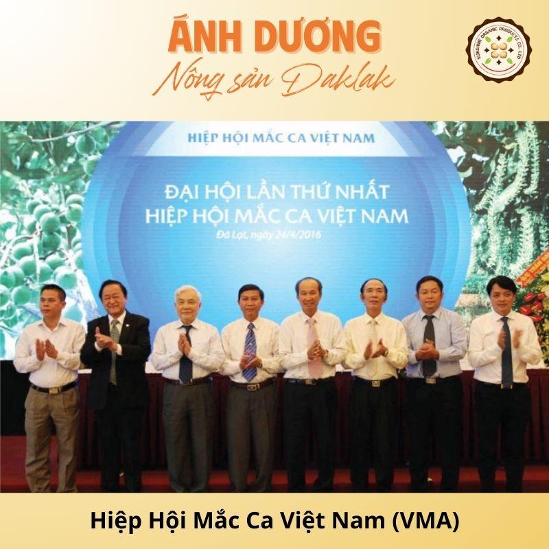 Introduction to Vietnam Macadamia Association (VMA)