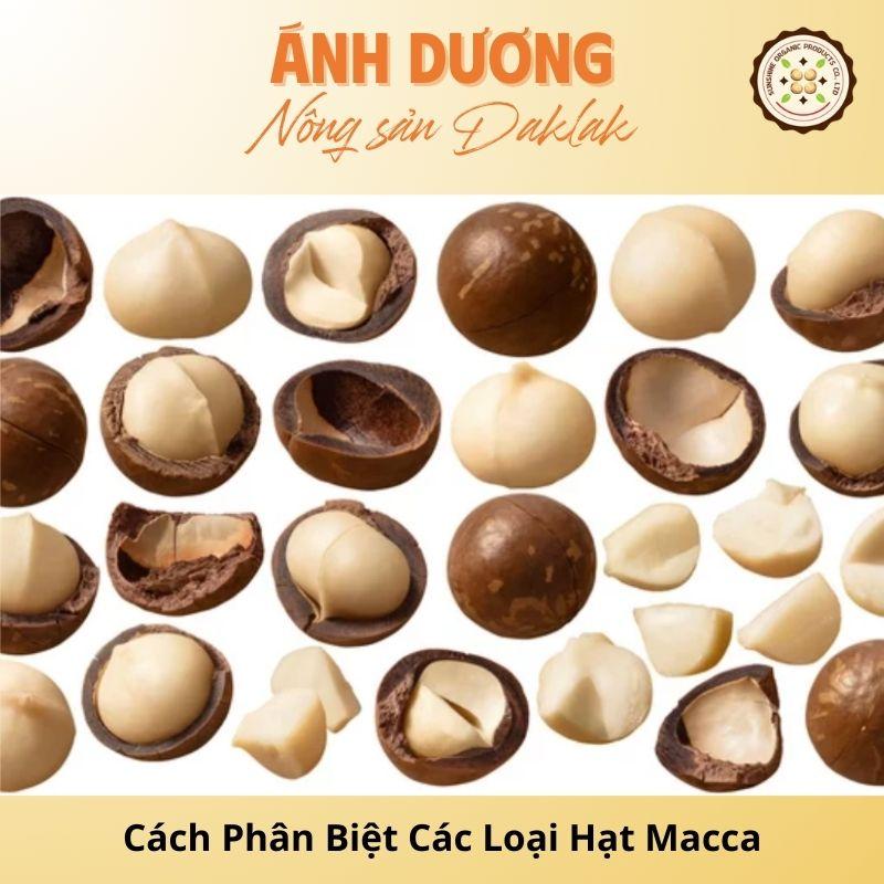 Hướng Dẫn Cách Phân Biệt Các Loại Hạt Macca