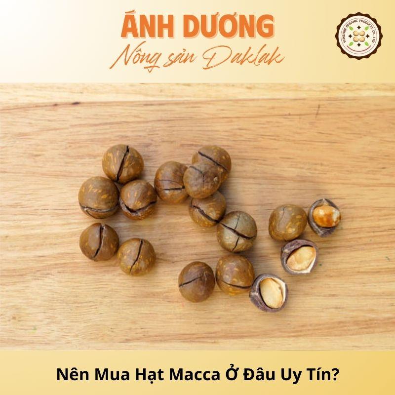 Where to Buy Reputable Macadamia Nuts with High Quality?