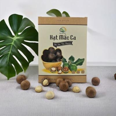 Macadamia Nuts | Fresh Roasted & Salted