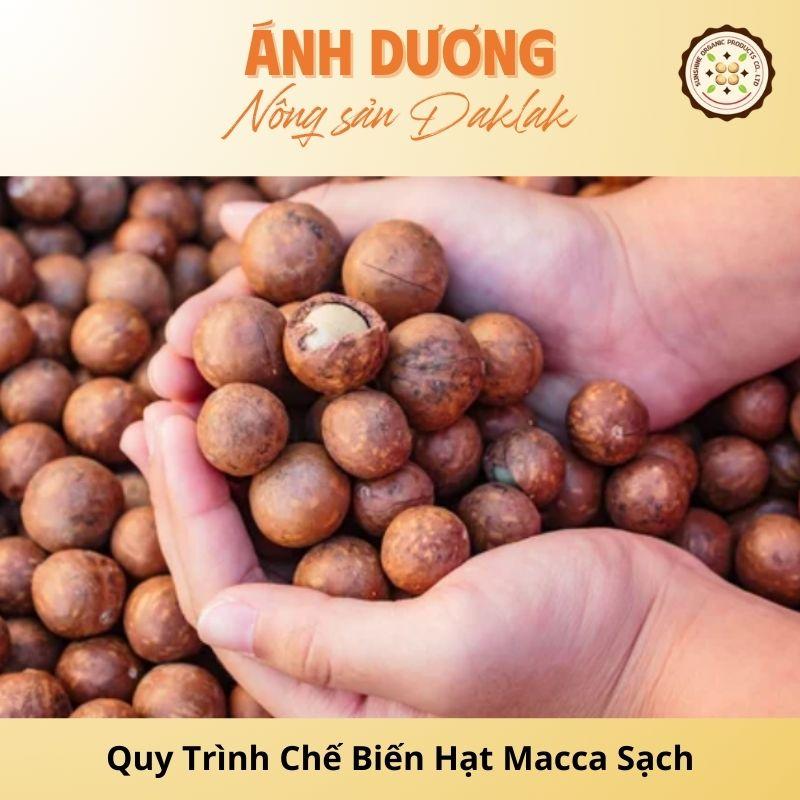 Tìm Hiểu Quy Trình Chế Biến Hạt Macca Sạch