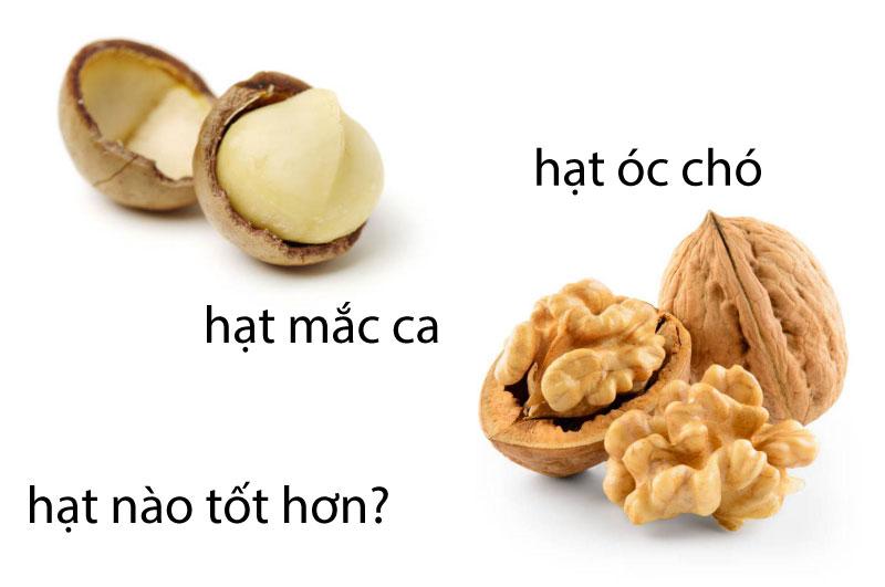 so-sanh-hat-mac-ca-va-hat-oc-cho